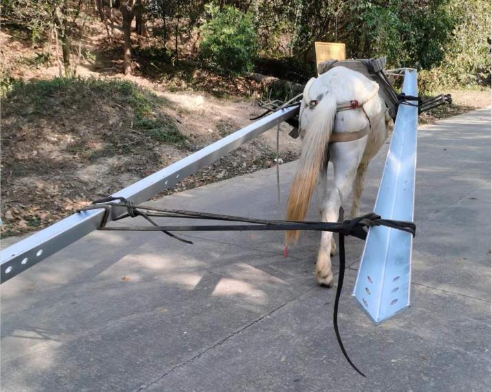 花都区马队搬运