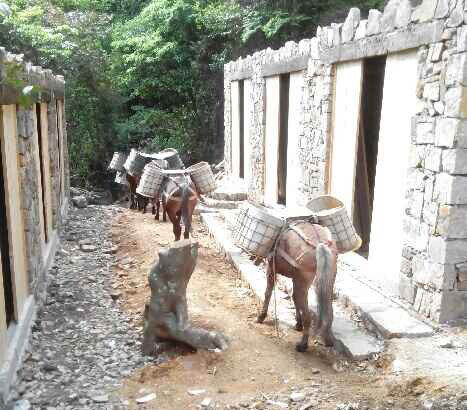 花都区马队运输队