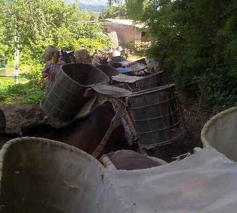 花都区骡马运输队