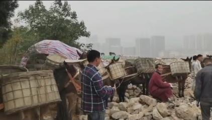 花都区骡马山区运输
