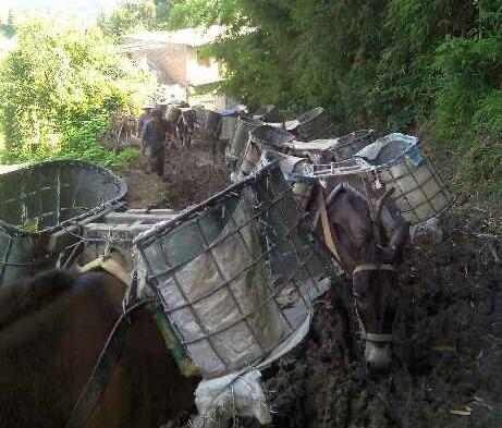 花都区马帮搬运