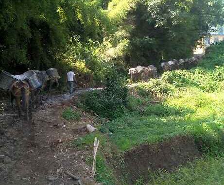 花都区马帮运输队