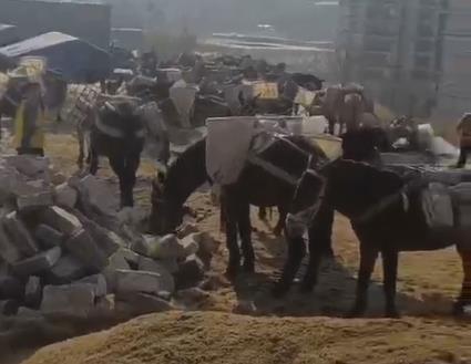 花都区马队山路运输