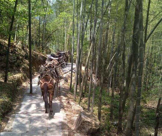 花都区山路马队运输