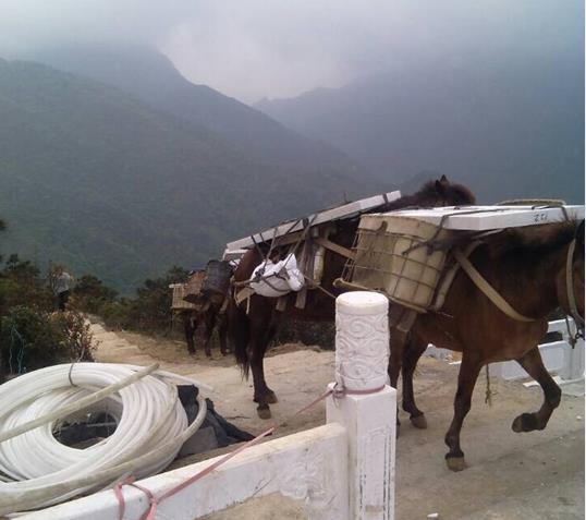 花都区山区马帮运输